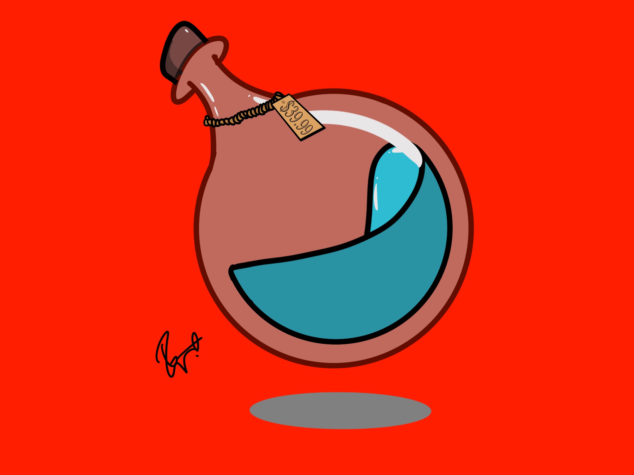 Design Project